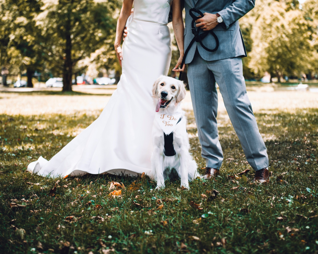 couple with their dog taking pictures after the wedding
