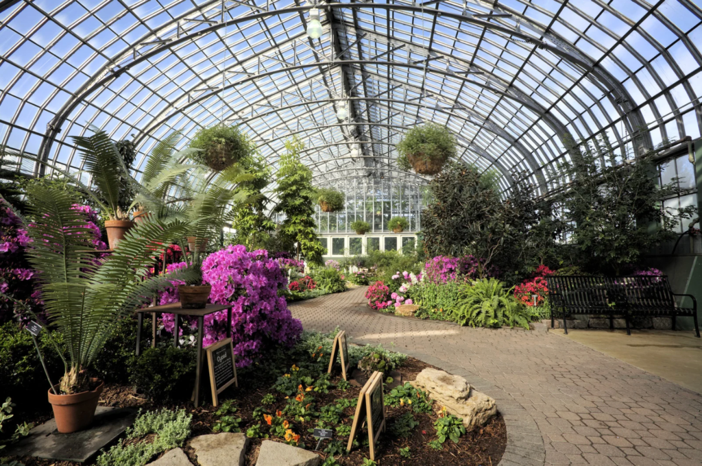 inside garfield park conservatory with summer flowers